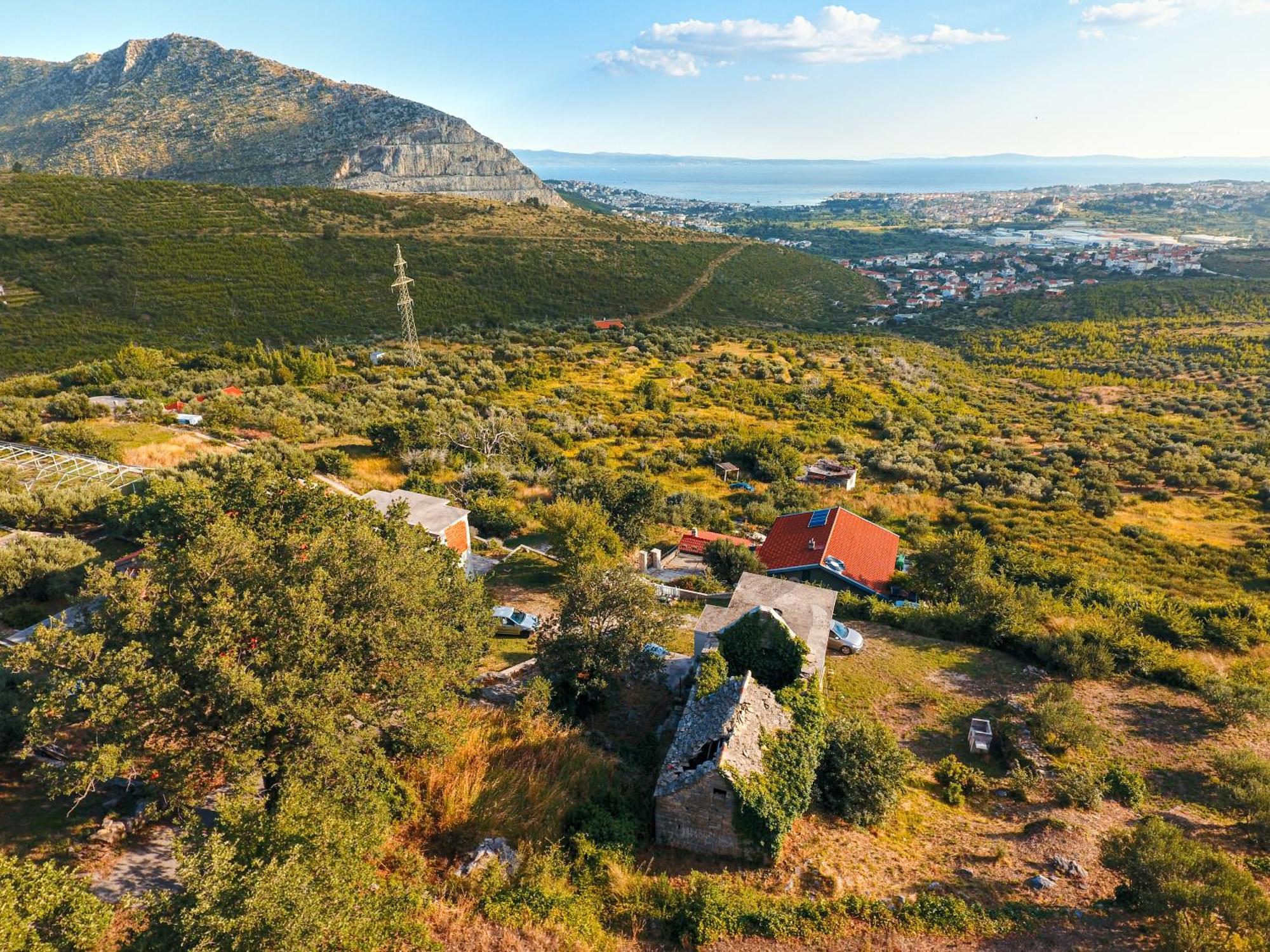 Olive Garden House In Zrnovnica With A View & Bbq Villa Exteriör bild