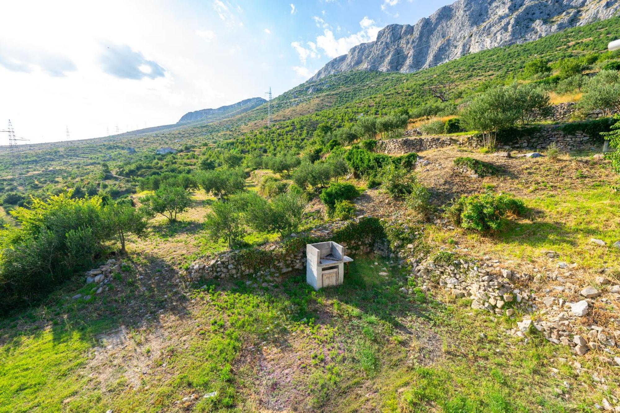 Olive Garden House In Zrnovnica With A View & Bbq Villa Exteriör bild